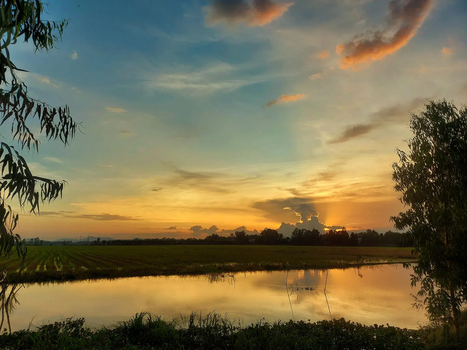 An Giang m&ugrave;a nước nổi đẹp tựa bức tranh sơn thủy hữu t&igrave;nh 6