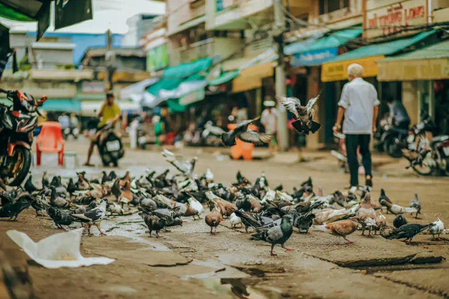 Chợ Ch&acirc;u Đốc v&agrave; n&eacute;t đẹp b&igrave;nh dị trong cuộc sống mưu sinh của người d&acirc;n 10