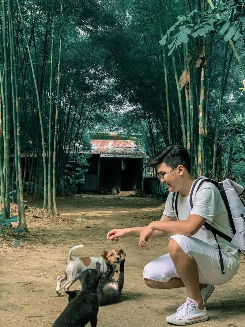 Con đường tầm v&ocirc;ng &Ocirc; T&agrave; S&oacute;c, điểm đến y&ecirc;n b&igrave;nh tại An Giang 4