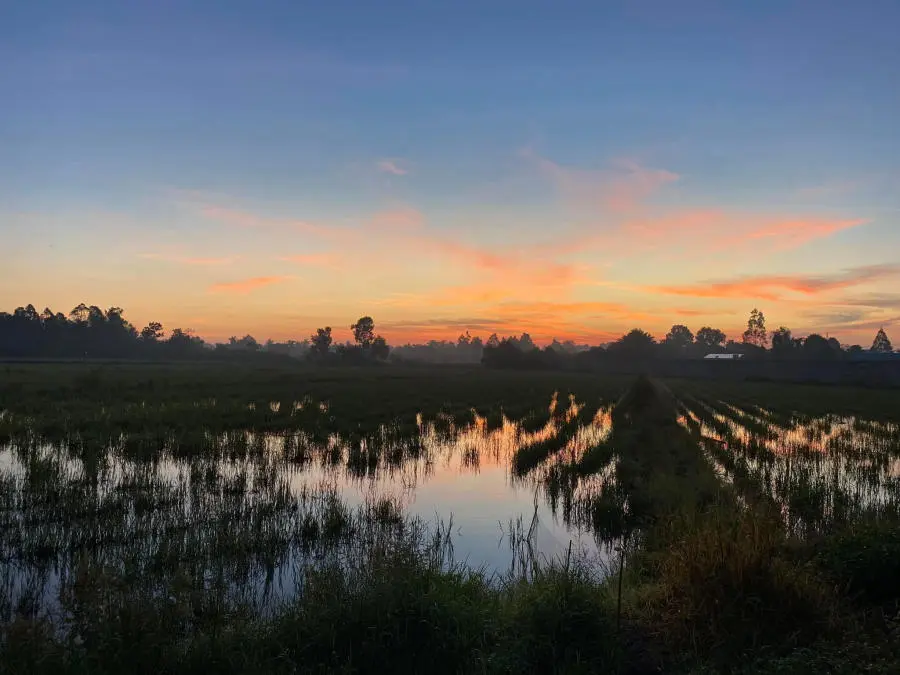 H&agrave;nh tr&igrave;nh Cắm trại An Giang của ch&agrave;ng trai Dương Nhật Quang 2
