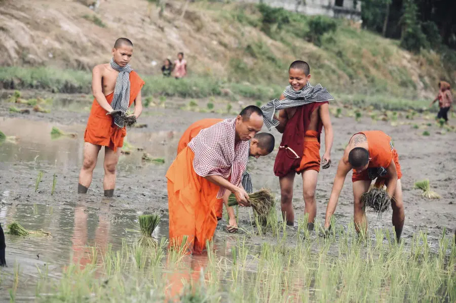 H&ograve;a m&igrave;nh v&agrave;o Tết cổ truyền Senl Donta độc đ&aacute;o của người Khmer 6