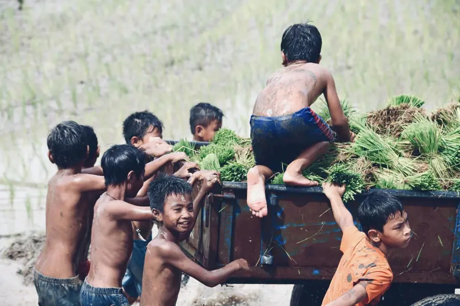H&ograve;a m&igrave;nh v&agrave;o Tết cổ truyền Senl Donta độc đ&aacute;o của người Khmer 9