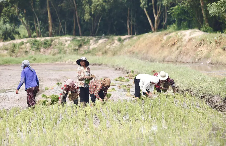 H&ograve;a m&igrave;nh v&agrave;o Tết cổ truyền Senl Donta độc đ&aacute;o của người Khmer 11