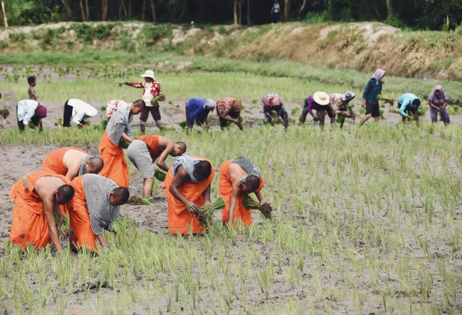 H&ograve;a m&igrave;nh v&agrave;o Tết cổ truyền Senl Donta độc đ&aacute;o của người Khmer 4