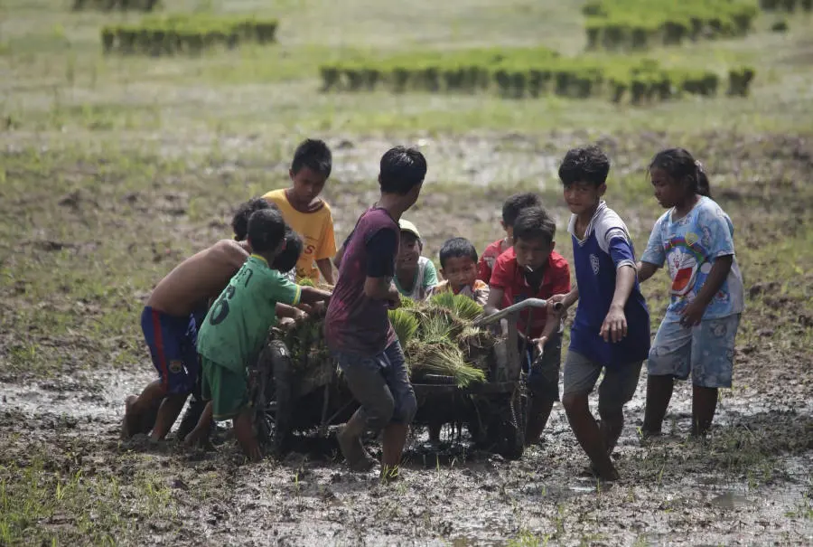 H&ograve;a m&igrave;nh v&agrave;o Tết cổ truyền Senl Donta độc đ&aacute;o của người Khmer 14