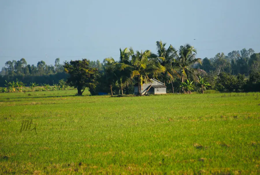 Lang thang An Giang kh&aacute;m ph&aacute; miền qu&ecirc; thanh b&igrave;nh v&agrave;o m&ugrave;a nước nổi 9