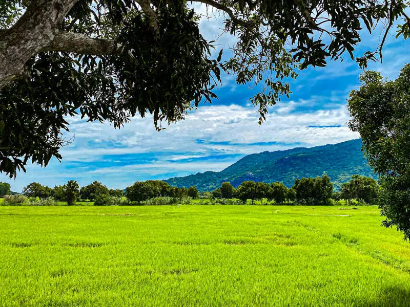 Lang thang An Giang kh&aacute;m ph&aacute; vẻ đẹp b&igrave;nh dị 3