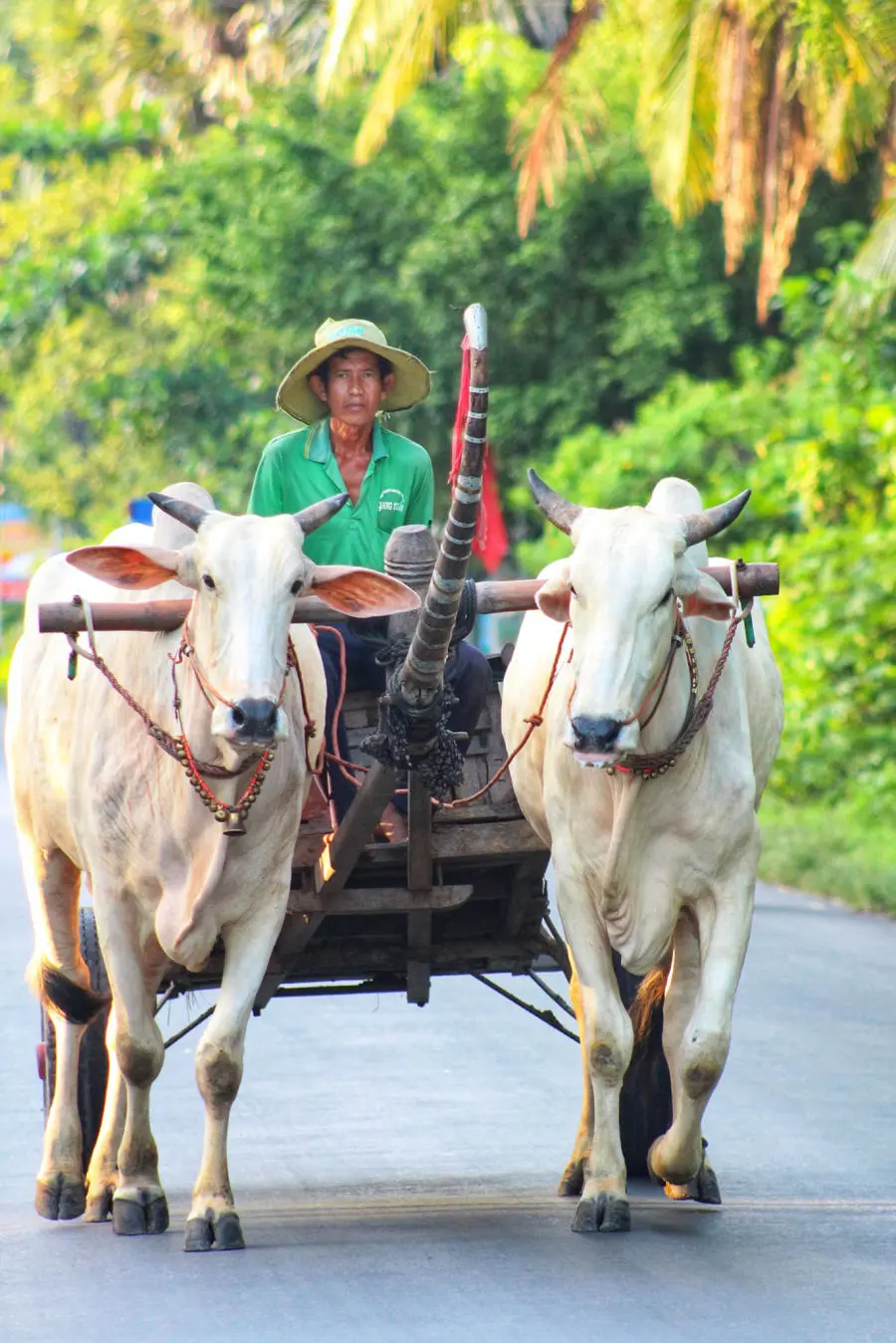 Lang thang Bảy N&uacute;i An Giang t&igrave;m về một miền qu&ecirc; thanh b&igrave;nh 8