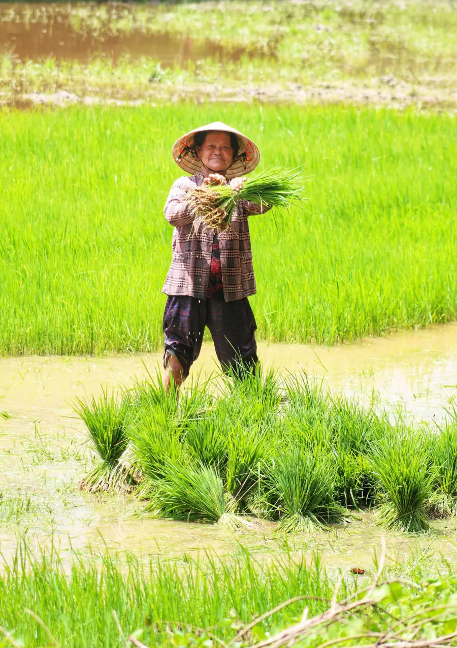 Lang thang Bảy N&uacute;i An Giang t&igrave;m về một miền qu&ecirc; thanh b&igrave;nh 9