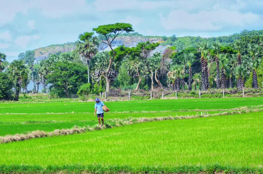Lang thang Bảy N&uacute;i An Giang t&igrave;m về một miền qu&ecirc; thanh b&igrave;nh 5