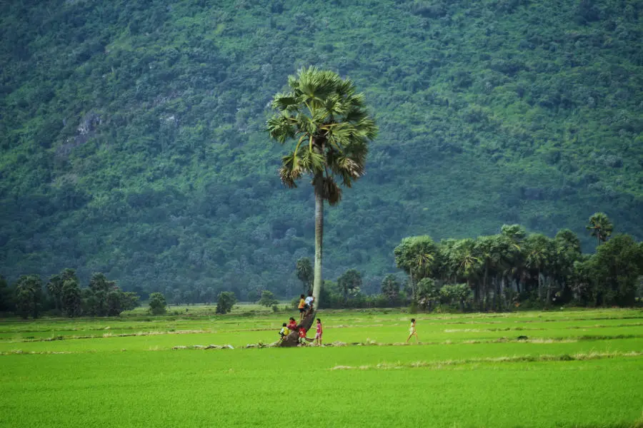 Lang thang Bảy N&uacute;i An Giang t&igrave;m về một miền qu&ecirc; thanh b&igrave;nh 4
