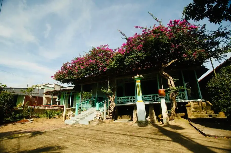 Ng&ocirc;i nh&agrave; hoa giấy ở Ph&uacute; T&acirc;n An Giang, vẻ đẹp th&ocirc;n qu&ecirc; dịu d&agrave;ng 4