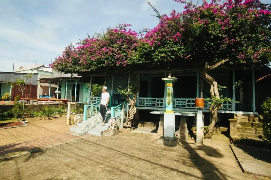 Ng&ocirc;i nh&agrave; hoa giấy ở Ph&uacute; T&acirc;n An Giang, vẻ đẹp th&ocirc;n qu&ecirc; dịu d&agrave;ng 3