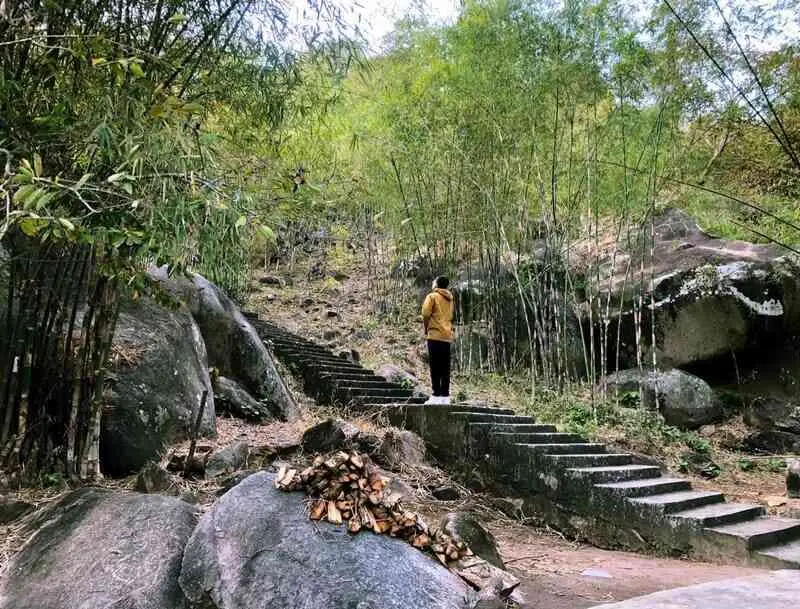 T&uacute; Dương Miếu, điểm đến y&ecirc;n ắng n&eacute;p m&igrave;nh b&ecirc;n rừng tr&uacute;c 5