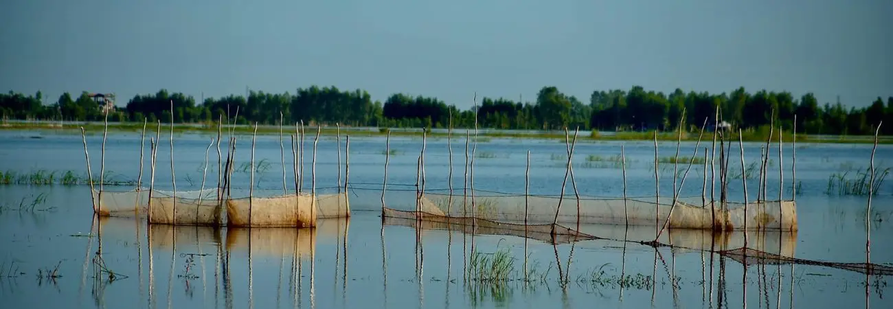 Lang thang An Giang khám phá miền quê thanh bình vào mùa nước nổi