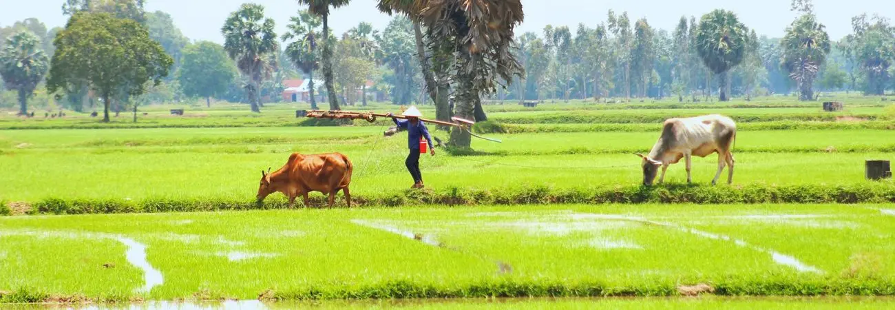 Lang thang Bảy Núi An Giang tìm về một miền quê thanh bình