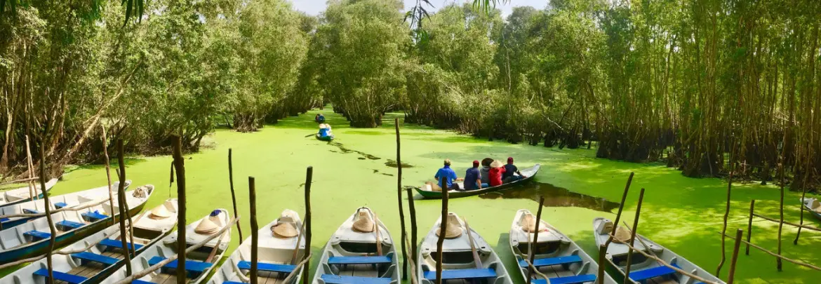 Rừng Tràm Trà Sư, hệ sinh thái tuyệt đẹp phía Tây Tổ quốc