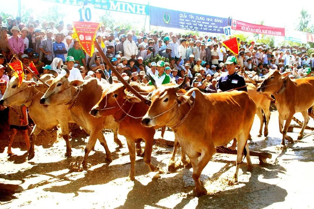 Kh&aacute;m ph&aacute; Văn ho&aacute; lễ hội An Giang đa dạng theo từng d&acirc;n tộc 5