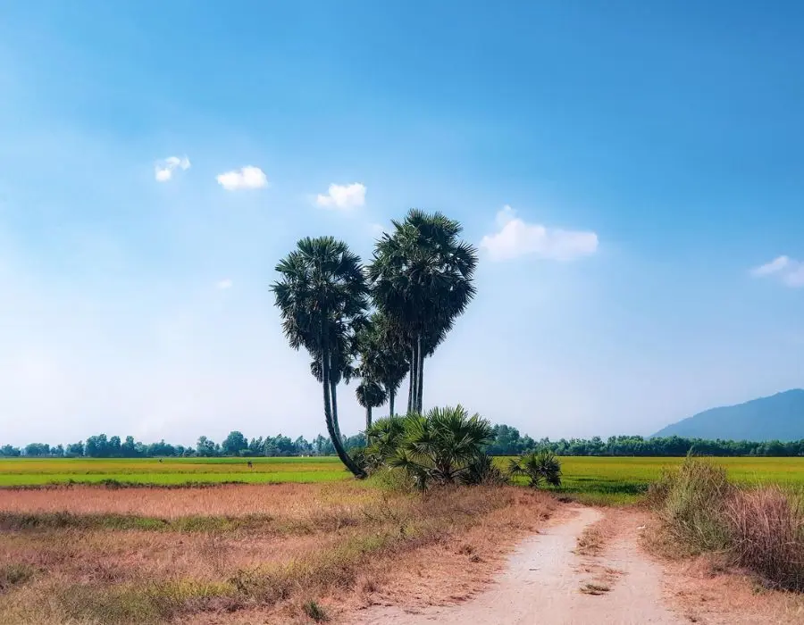 1 ng&agrave;y ở An Giang v&agrave; c&aacute;c hoạt động bạn kh&ocirc;ng n&ecirc;n bỏ lỡ 7