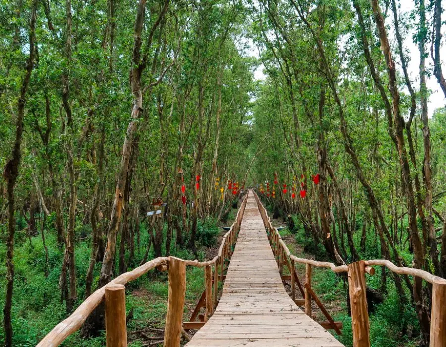 Gợi &yacute; Lịch tr&igrave;nh An Giang tự t&uacute;c 2N1Đ vui qu&ecirc;n lối về 5