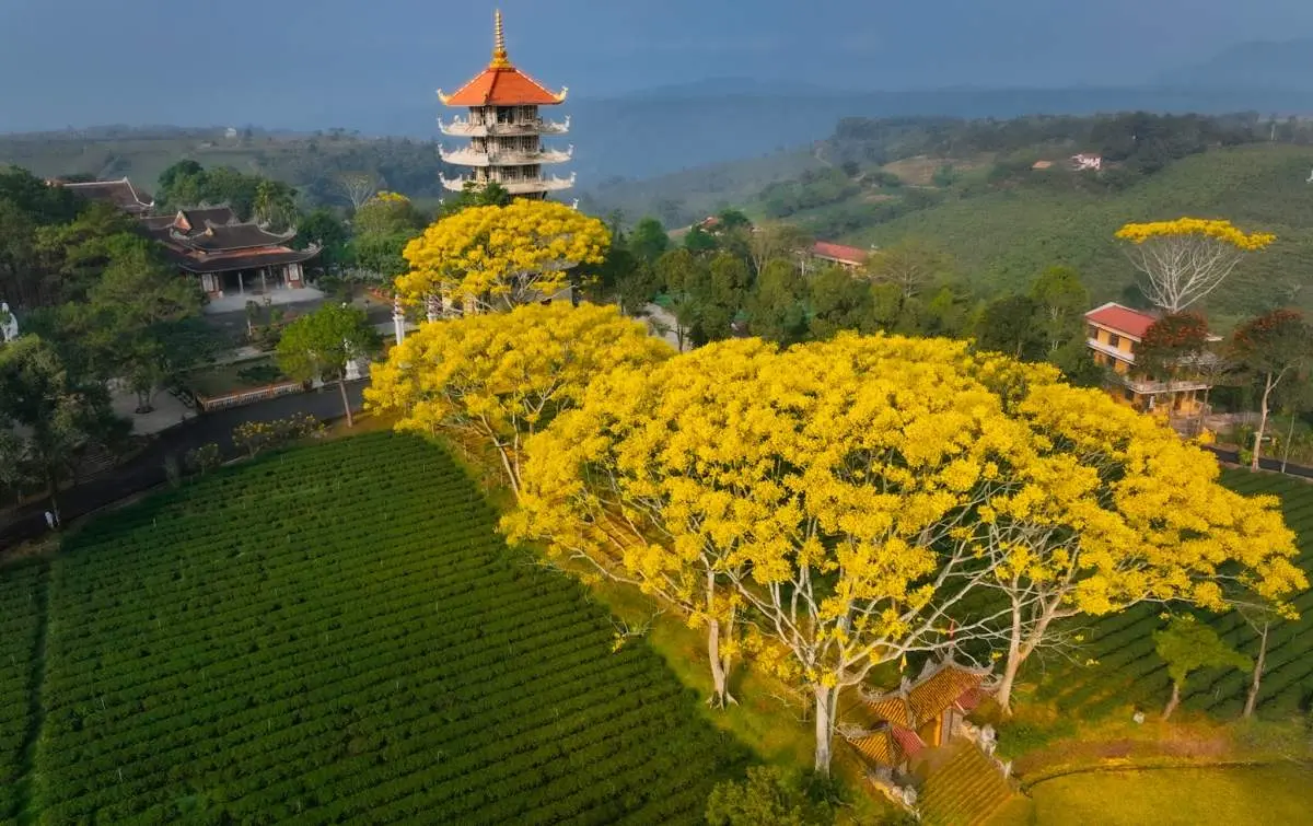 Đến Tu viện B&aacute;t Nh&atilde; Bảo Lộc t&igrave;m về chốn an y&ecirc;n giữa xứ sương m&ugrave; 3
