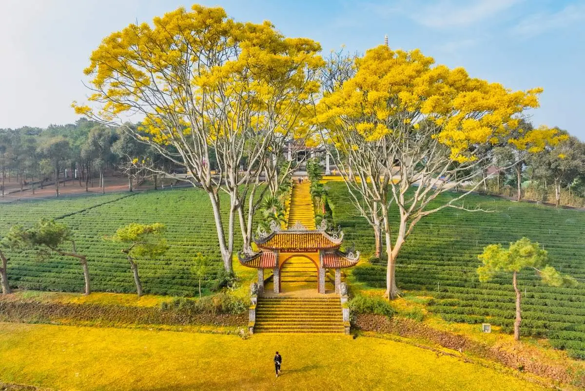 Đến Tu viện B&aacute;t Nh&atilde; Bảo Lộc t&igrave;m về chốn an y&ecirc;n giữa xứ sương m&ugrave; 6