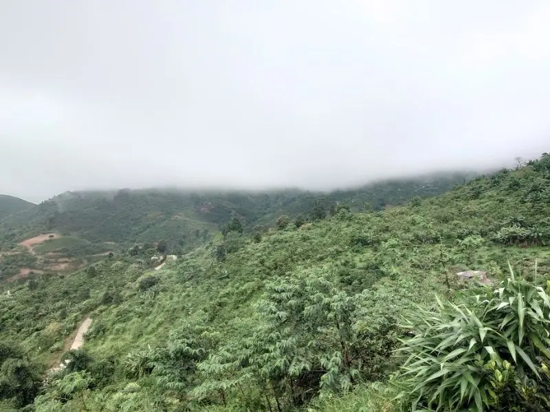 Đ&egrave;o m&acirc;y Lộc Th&agrave;nh: Săn m&acirc;y chốn bồng lai ti&ecirc;n cảnh 4