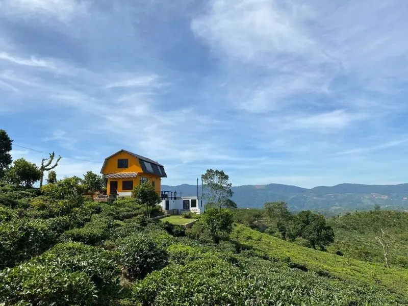 Đ&egrave;o m&acirc;y Lộc Th&agrave;nh: Săn m&acirc;y chốn bồng lai ti&ecirc;n cảnh 10