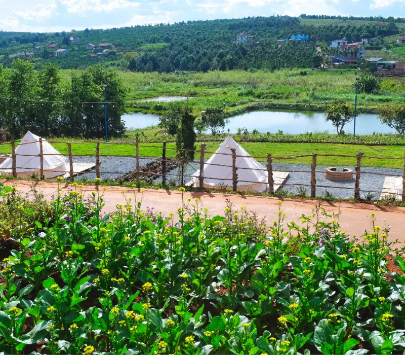 Du lịch Lâm Hà: Khám phá vẻ đẹp thiên nhiên và trải nghiệm văn hóa độc đáo 3