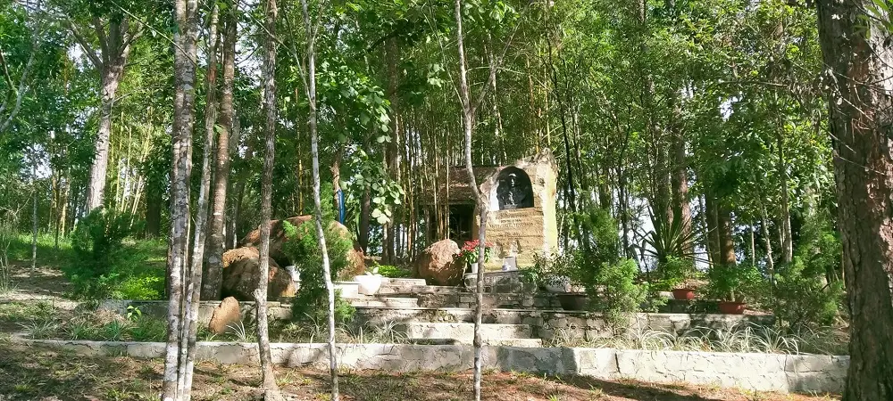 Lạc v&agrave;o Đồi th&ocirc;ng Phương Bối Bảo Lộc v&ocirc; c&ugrave;ng thơ mộng 4