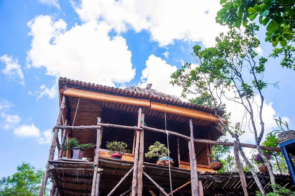 Lạc v&agrave;o Đồi th&ocirc;ng Phương Bối Bảo Lộc v&ocirc; c&ugrave;ng thơ mộng 6