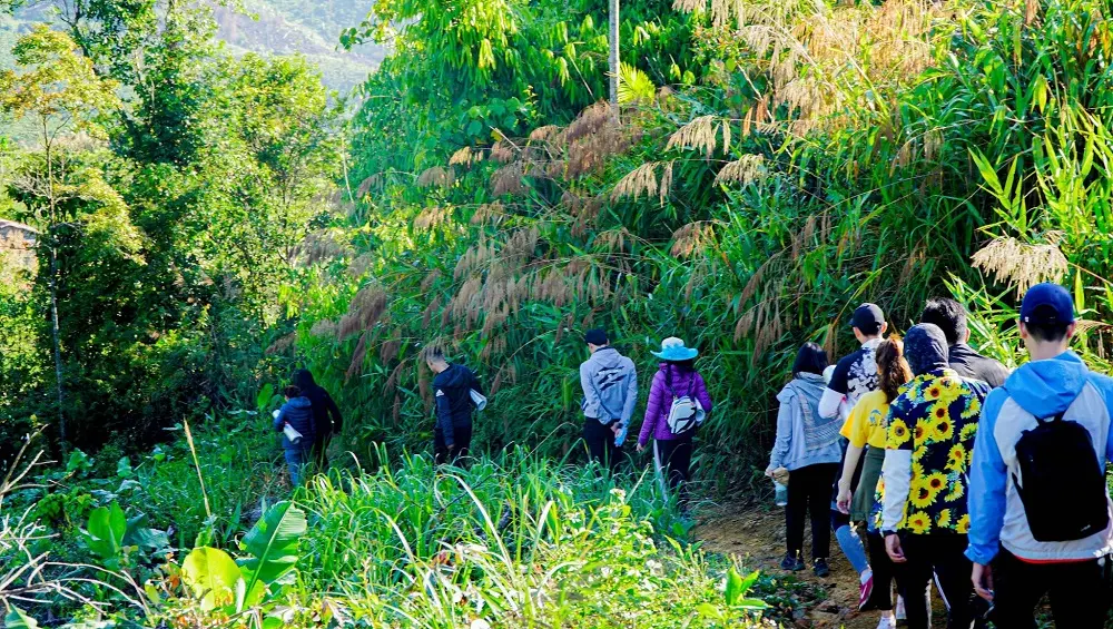 Ngất ng&acirc;y tại Up Base Camp với khung cảnh n&uacute;i rừng thơ mộng 2