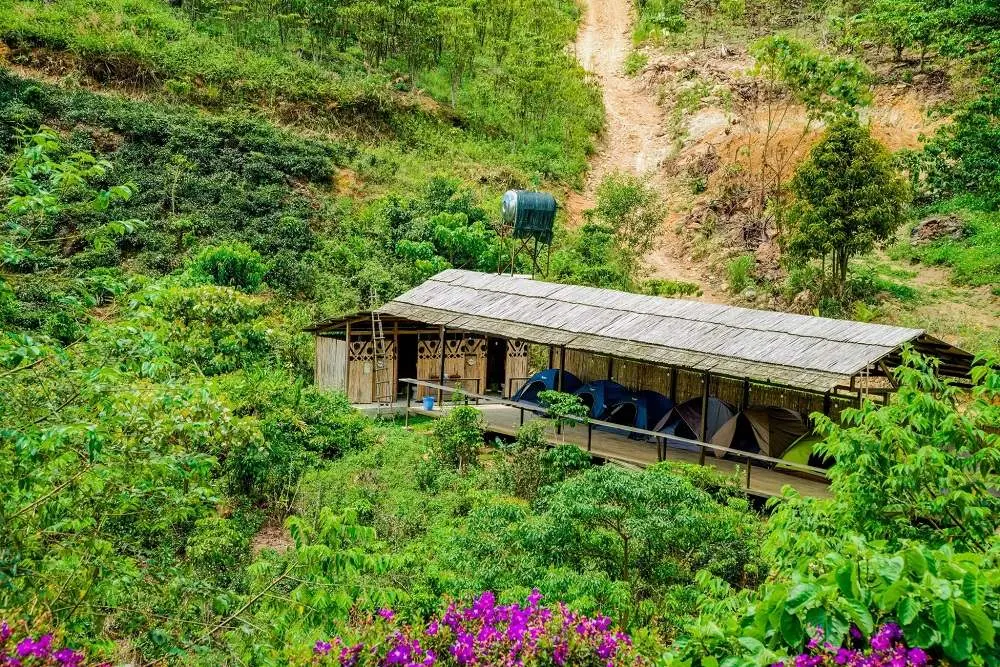 Ngất ng&acirc;y tại Up Base Camp với khung cảnh n&uacute;i rừng thơ mộng 5