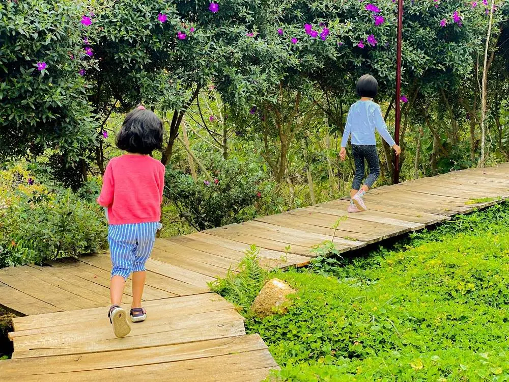 Ngất ng&acirc;y tại Up Base Camp với khung cảnh n&uacute;i rừng thơ mộng 3