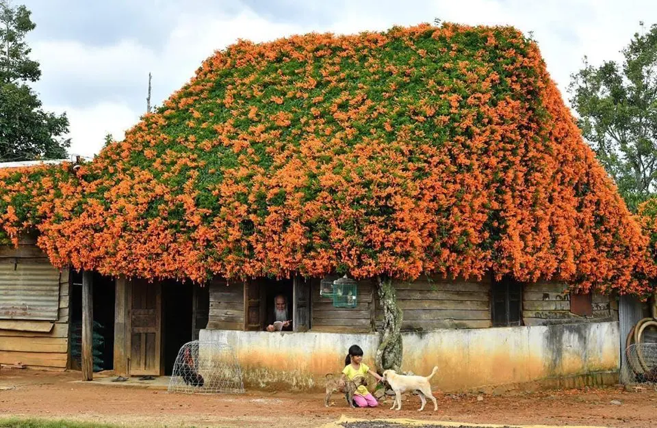 Top c&aacute;c điểm tham quan Bảo Lộc bạn kh&ocirc;ng n&ecirc;n bỏ lỡ 4