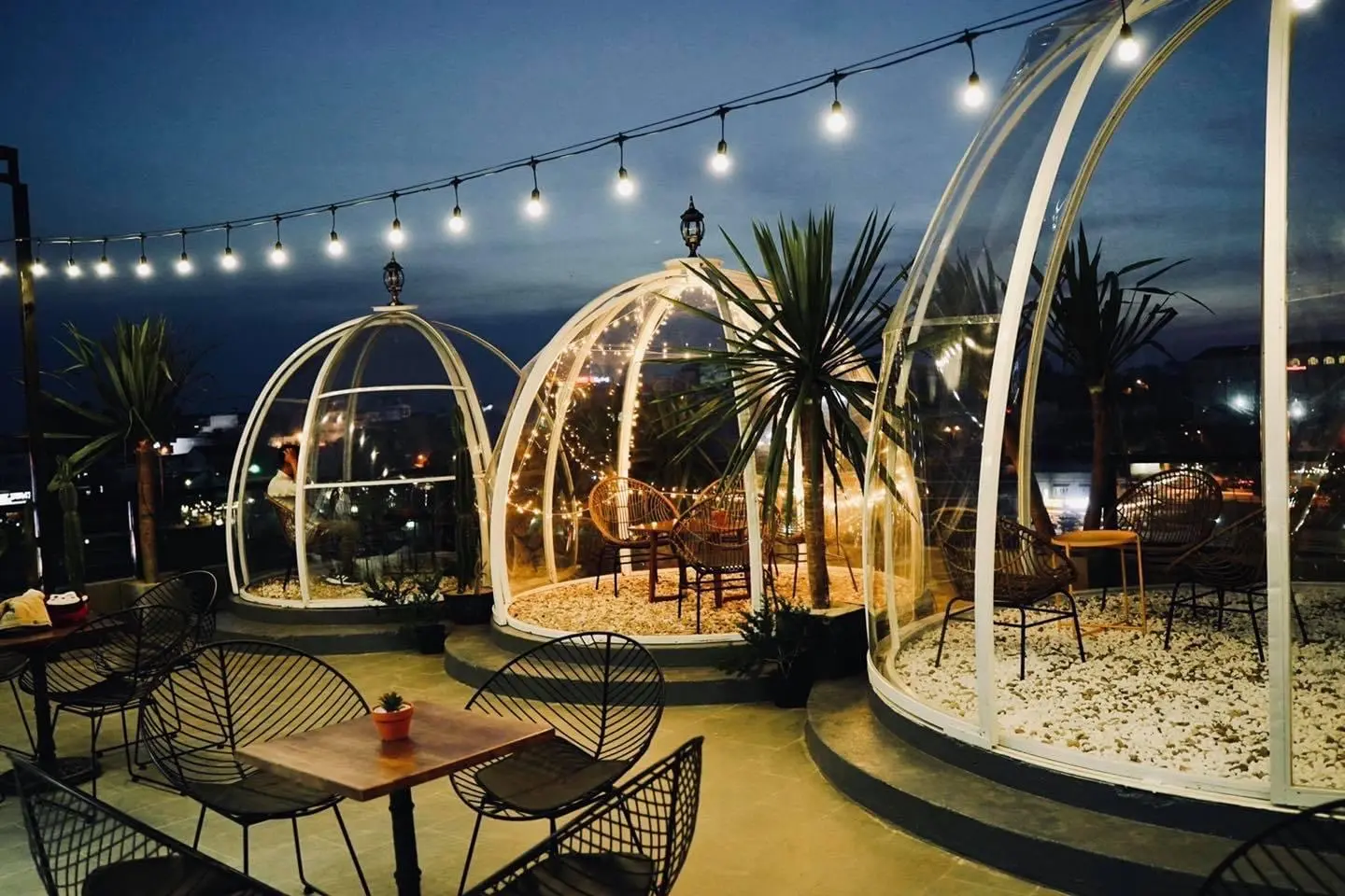 Check in ngay Aim&eacute;e Coffee với view sống ảo triệu like 11