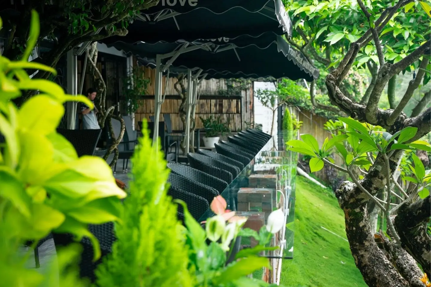 Chưa đến Cafe Catinat độc đ&aacute;o l&agrave; chưa tới phố n&uacute;i B'lao thơ mộng 7