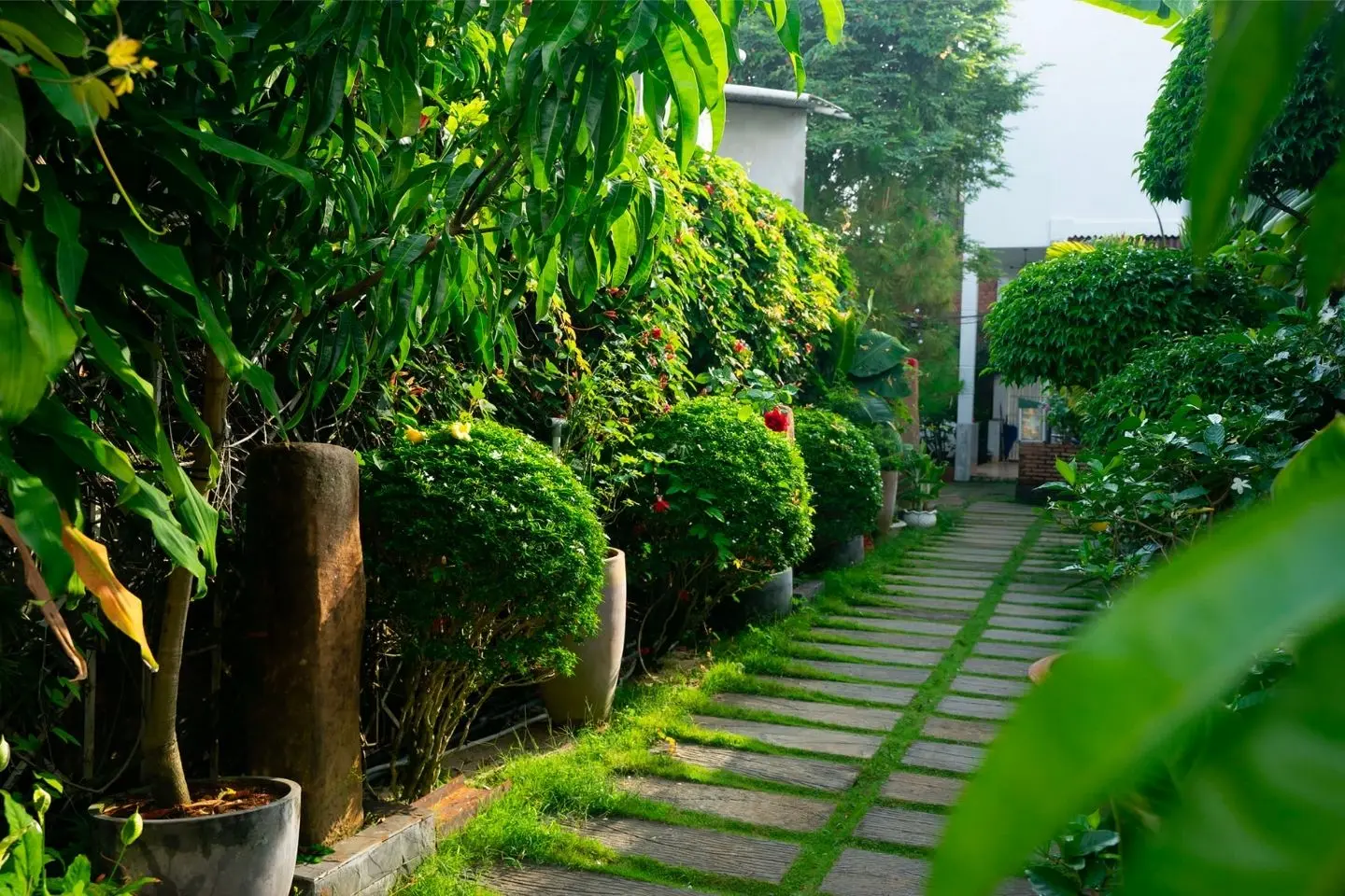 Chưa đến Cafe Catinat độc đ&aacute;o l&agrave; chưa tới phố n&uacute;i B'lao thơ mộng 6