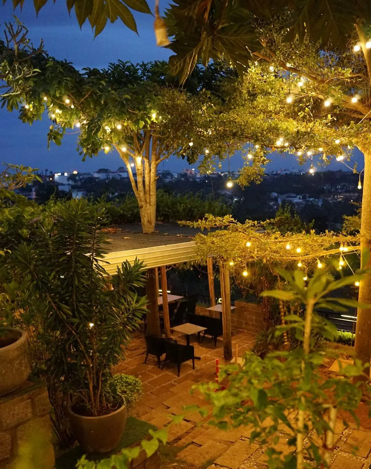Chưa đến Cafe Catinat độc đ&aacute;o l&agrave; chưa tới phố n&uacute;i B'lao thơ mộng 9
