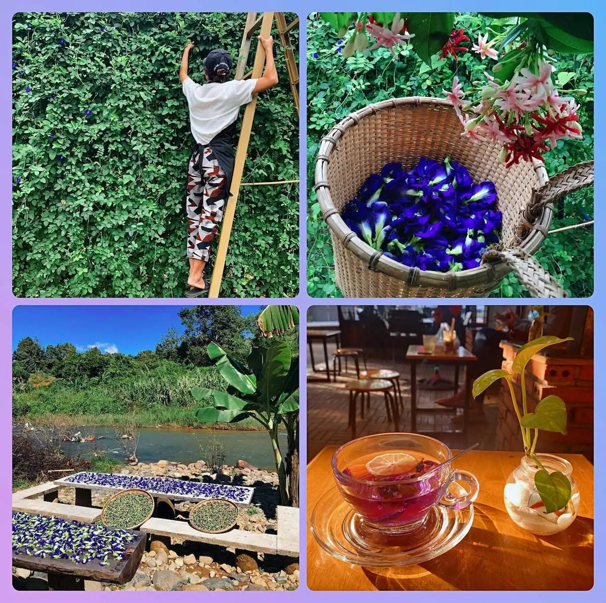Đến ngay cafe Th&aacute;i Bảo thưởng thức menu ngon m&ecirc; ly 4