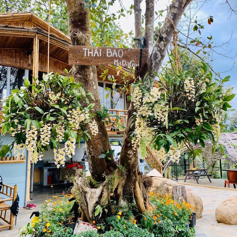 Đến ngay cafe Th&aacute;i Bảo thưởng thức menu ngon m&ecirc; ly 12