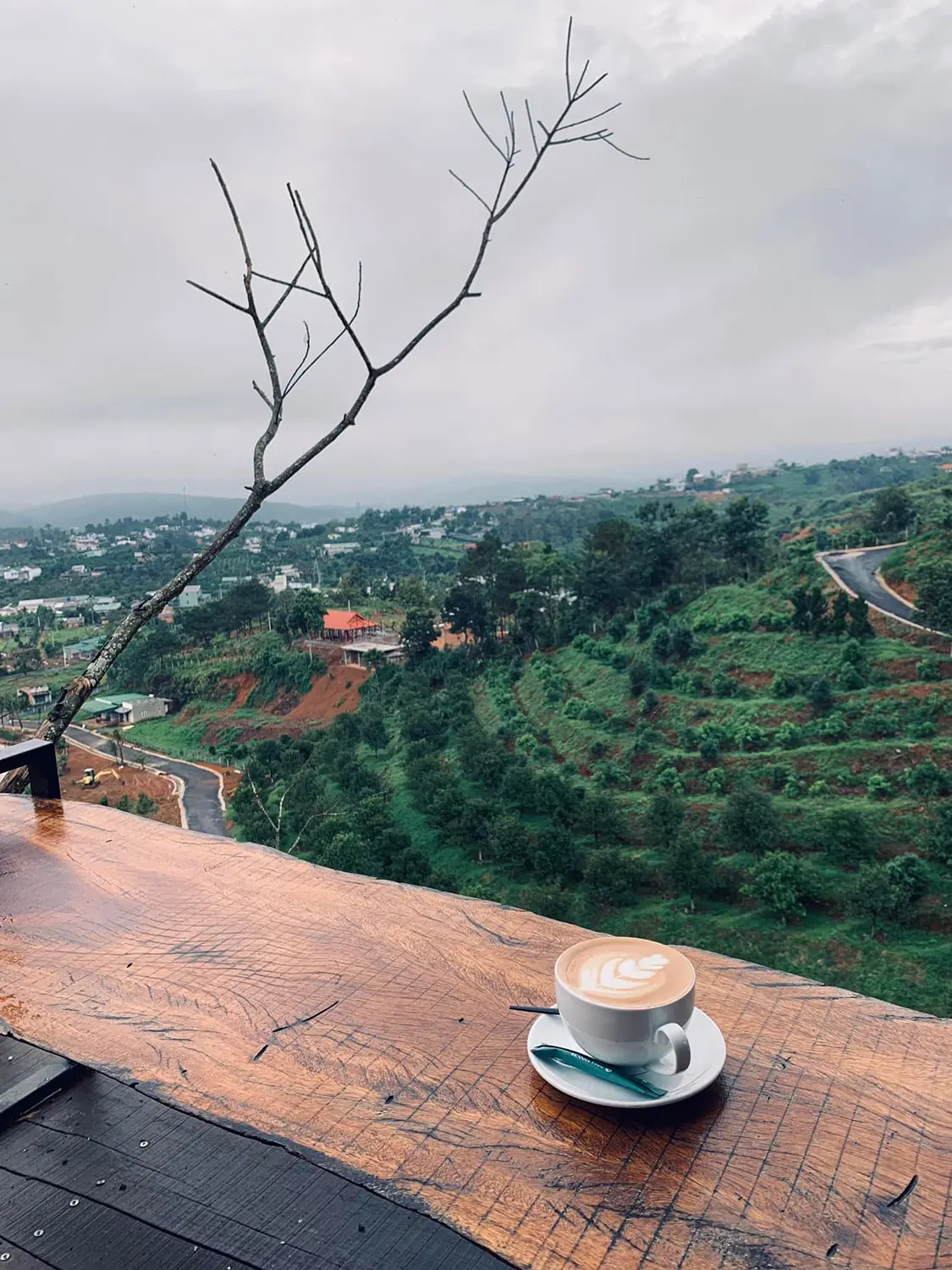Gh&eacute; Sunset Chill Coffee tận hưởng thi&ecirc;n nhi&ecirc;n Bảo Lộc tươi m&aacute;t 6