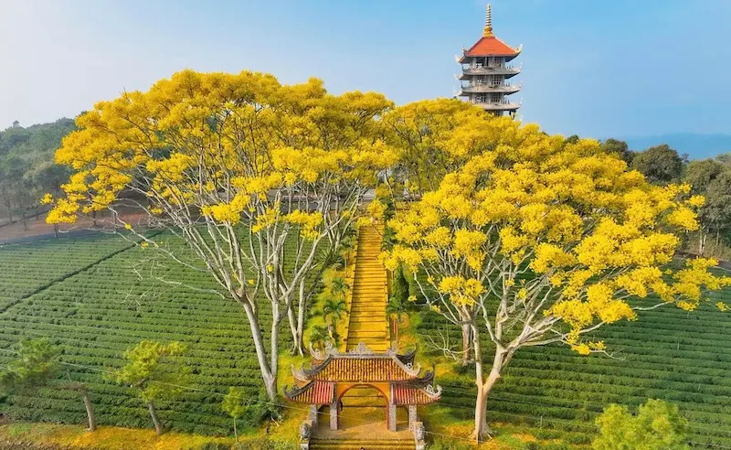 Bảo Lộc c&oacute; g&igrave; chơi v&agrave; top 10 trải nghiệm th&uacute; vị 9