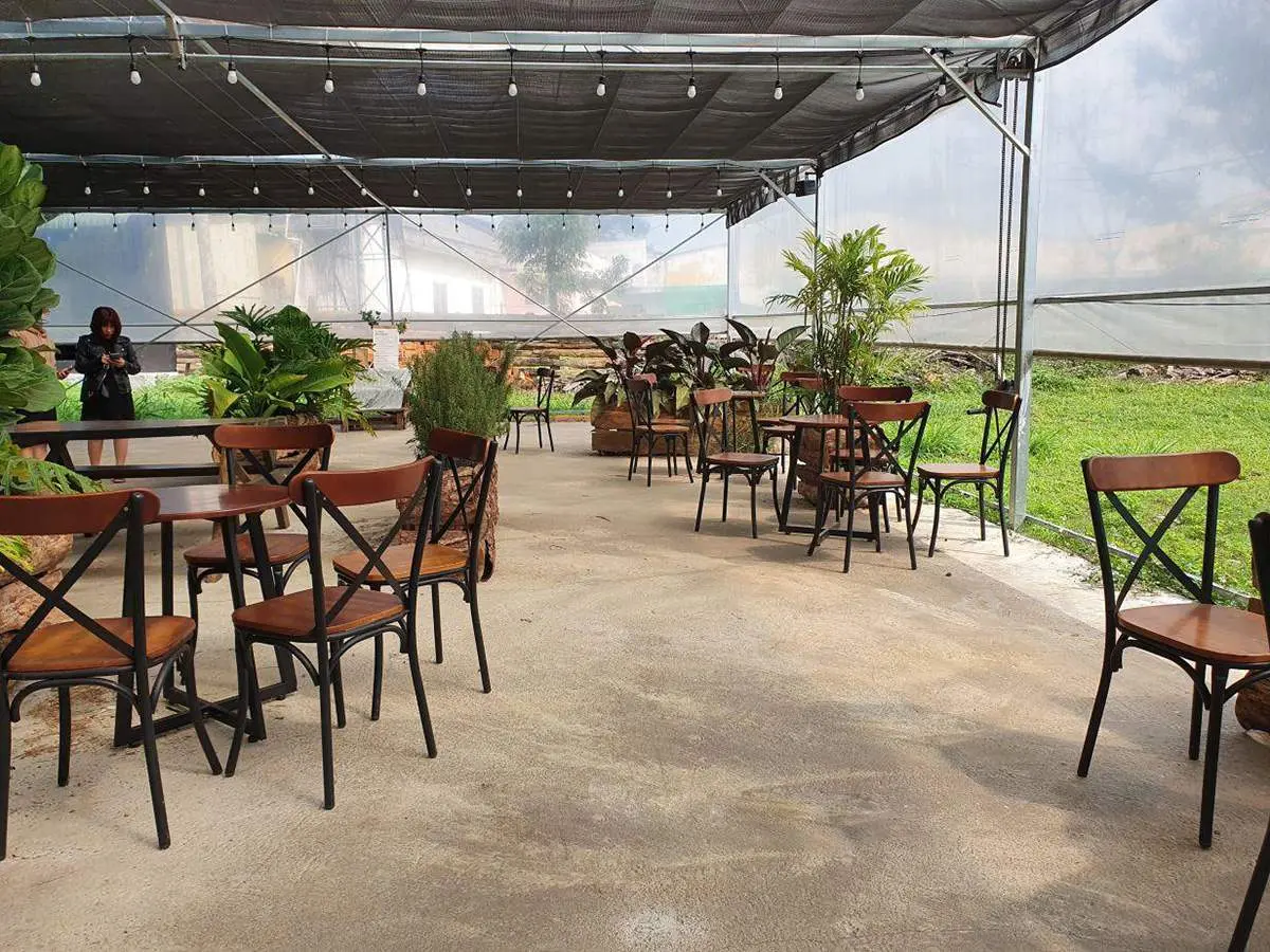 The Coffalo Bảo Lộc với b&atilde;i cỏ xanh mướt đầy mộng mơ 5