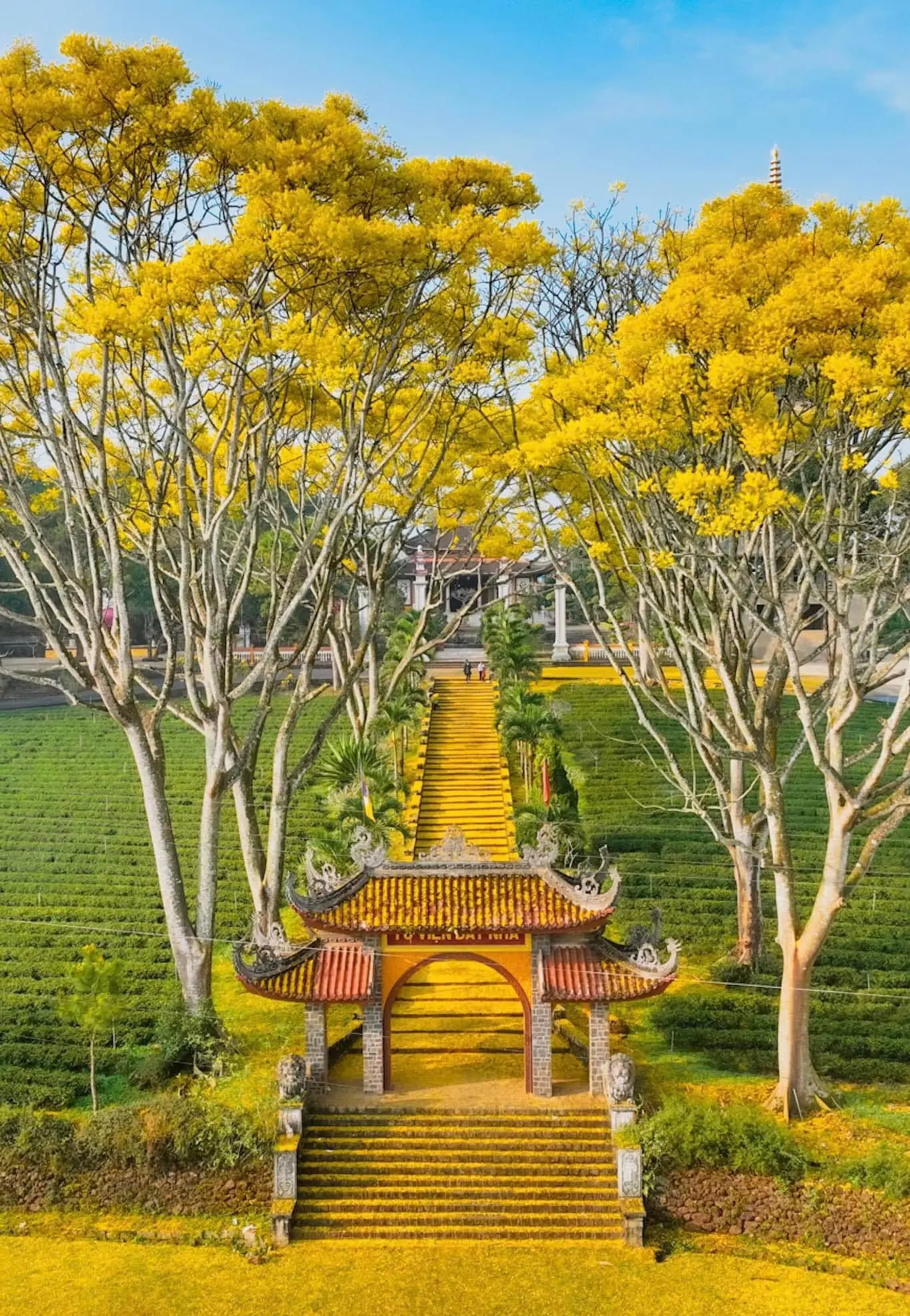 Tu viện B&aacute;t Nh&atilde;, vẻ đẹp nao l&ograve;ng người 10