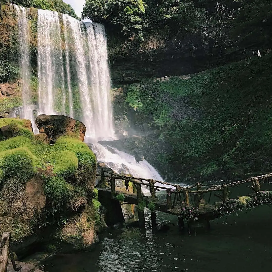 Gợi &yacute; lịch tr&igrave;nh Bảo Lộc 2N1Đ cực chi tiết v&agrave; hấp dẫn 2