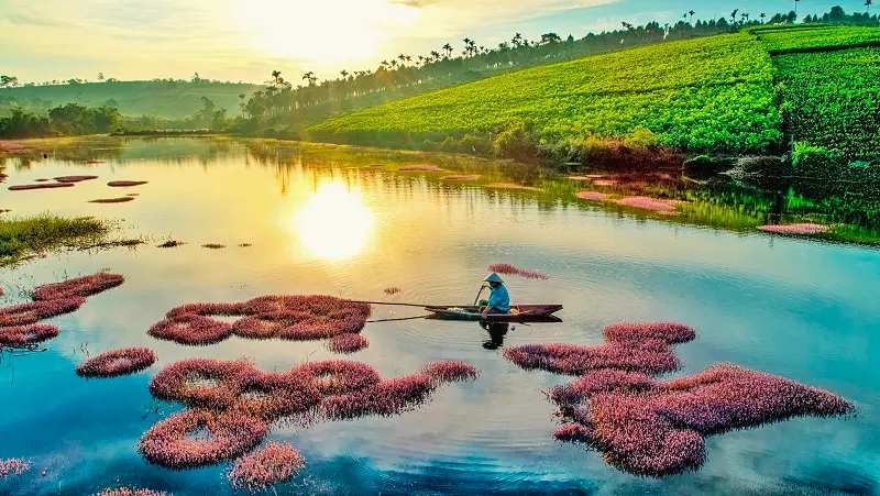 Lưu ngay Lịch trình nghỉ dưỡng Bảo Lộc 3N2Đ cực thú vị