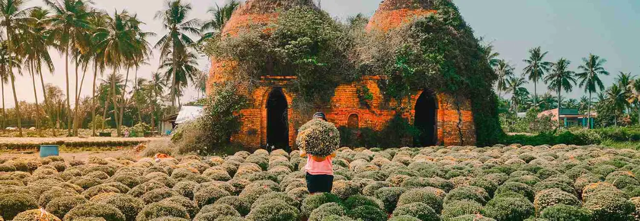Bật mí những địa điểm sống ảo ở Bến Tre đẹp ngất ngây