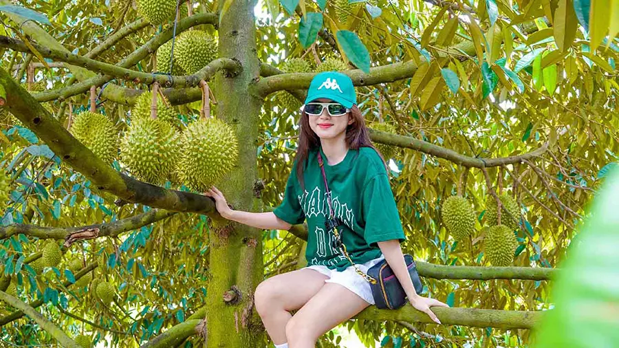Bật mí những địa điểm sống ảo ở Bến Tre đẹp ngất ngây 2