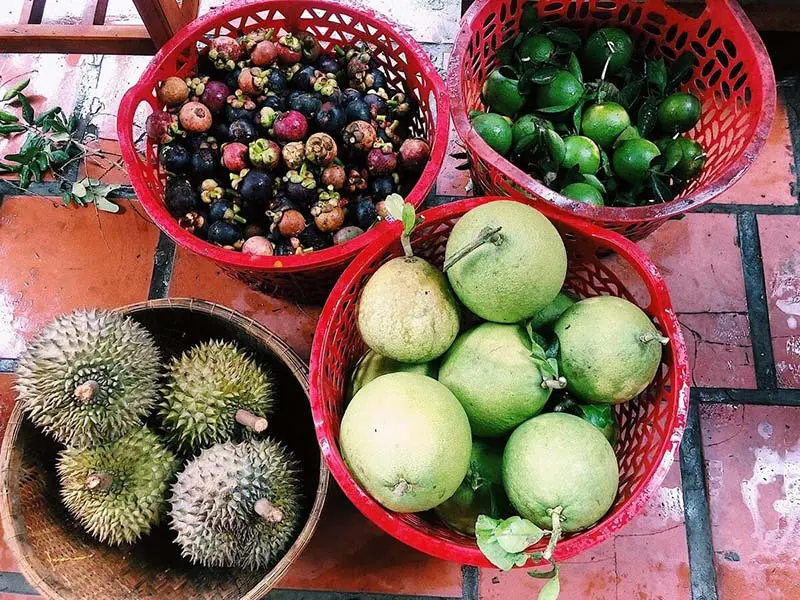 Biển B&igrave;nh Đại Bến Tre, tọa độ trốn n&oacute;ng l&yacute; tưởng dịp h&egrave; n&agrave;y 10